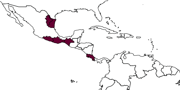 map of Ganodes matai     Gauld, 1991